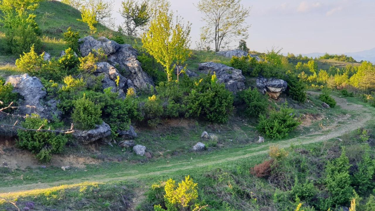 Бялата Къща Hotel Чакаларово Екстериор снимка